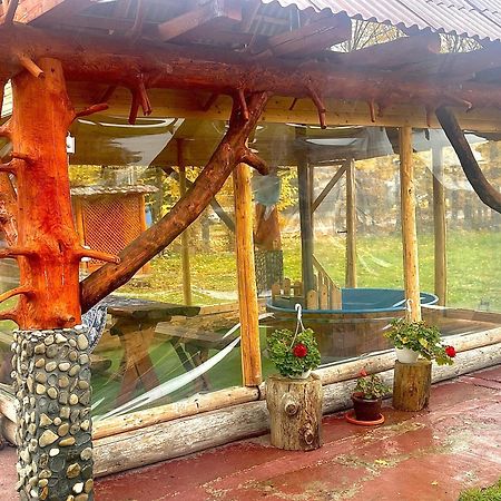 Casa Marinca Hotel Ocna Sugatag Ngoại thất bức ảnh